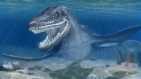 Plesiosaurus pose 003 by Vukaddin on DeviantArt