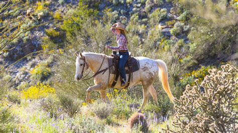 Trail Rides | Horseback Riding | Phoenix, Arizona - Blog