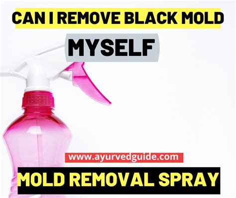 Black Mold Removal Process |Mold Removal Spray | Ayurved Guide | Mold remover, Mold removal ...