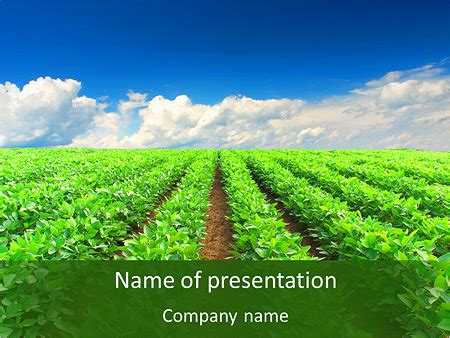 Agriculture Background Powerpoint