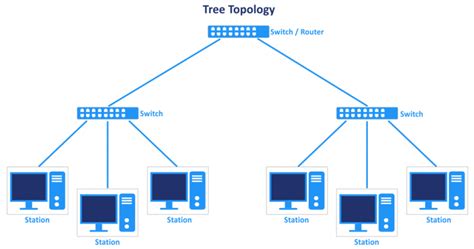 Explanation of Network Topology Types