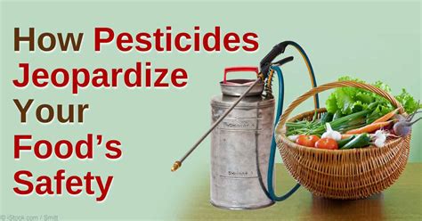 Food Safety: Pesticide Residue in Food