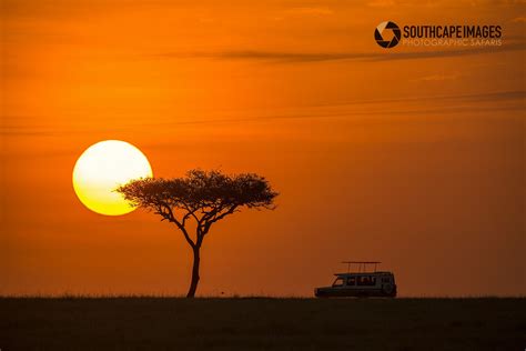 Safari Sunrise - A safari vehicle cruising over the plains of The ...