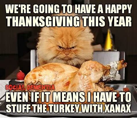 Pin by Deb Turley on Critter Capers | Funny thanksgiving, Thanksgiving ...