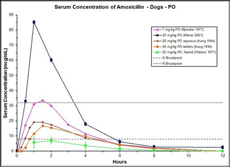 Amoxicillin in Dogs - Antimicrobials