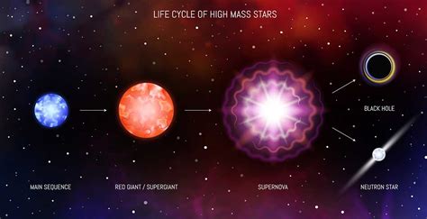 What Is a Supernova? - Definition and Astronomical Facts | CosmoNova