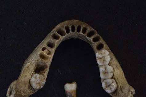 UK's oldest human DNA obtained, revealing two distinct Paleolithic ...