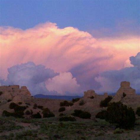 New Mexico Sky State Birds, Land Of Enchantment, Yucca, Black Bear, New ...