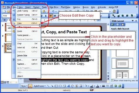 Moving and Copying Text in Microsoft Word | Training Connection