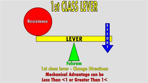 The 3 Classes of Levers