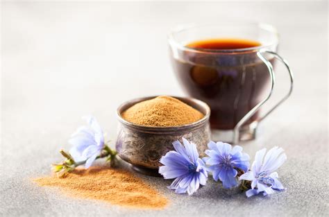 Chicory Root Coffee & Extract Benefits + Side Effects - SelfDecode Supplements