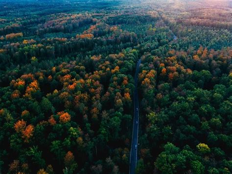 20 Must-Visit Attractions in the Black Forest