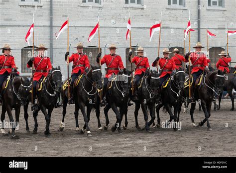 Royal Canadian Mounted Police Horse Ontario Canada Stock Photo - Alamy