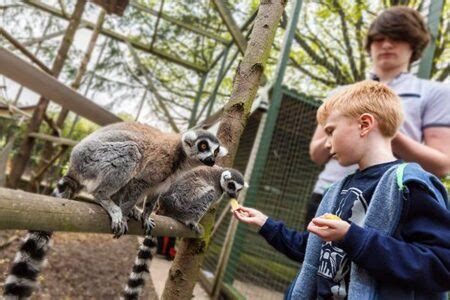 Hoo Zoo & Dinosaur World - Visit Shropshire