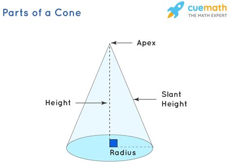 Base Area of a Cone - Definition, Formula and Examples