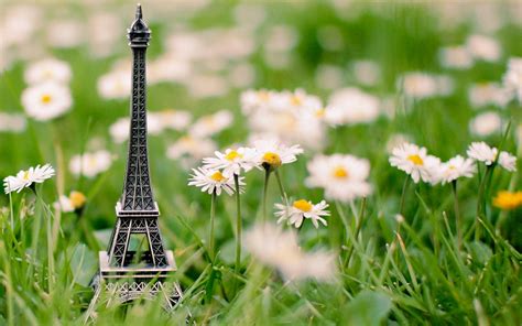 Wallpaper : Eiffel Tower, grass, keychain, flowers 1920x1200 - CoolWallpapers - 1067214 - HD ...