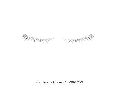 286 Bottom Lashes Images, Stock Photos & Vectors | Shutterstock