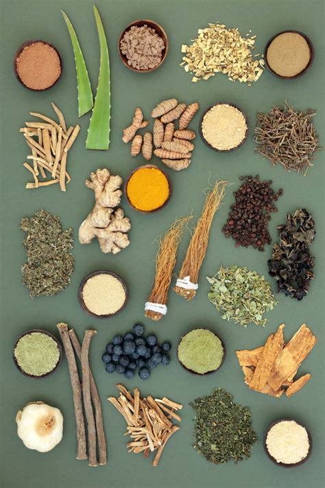 What Are Adaptogens? Types, Usages, & Potential Benefits