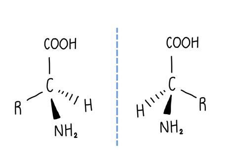 Amines, amides and amino acids — the science hive