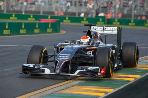 Adrian Sutil - Sauber F1 Team: FIA Formula 1 World Championship 2014 - Photo 22/24