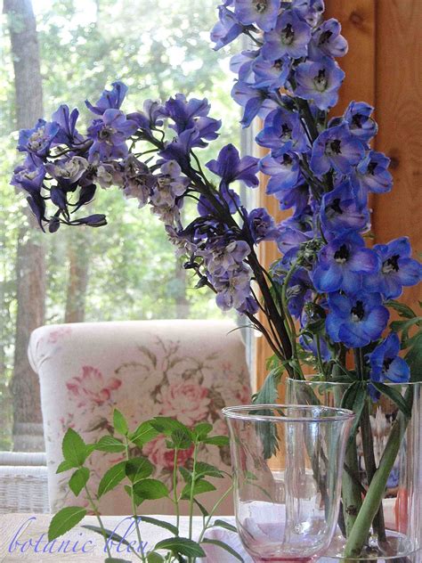Botanic Bleu: Blue Delphiniums