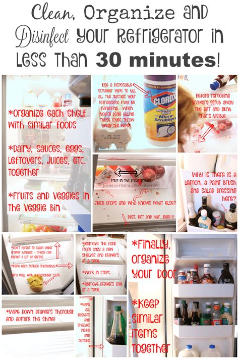 How to Clean a Refrigerator | Easy house cleaning, Cleaning, House cleaning tips