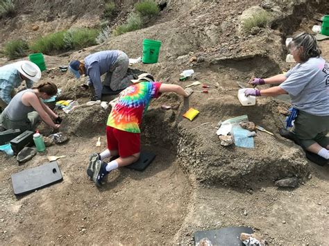 Fossils of North Dakota 2023 (K-12 Professional Development Class ...