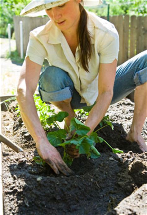 vegetable-garden-tips - Craftionary