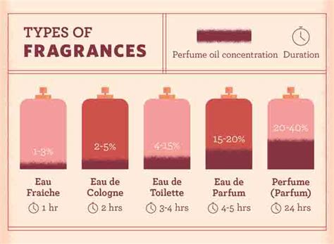 EDP vs EDT: What's the Difference? | My Perfume Shop