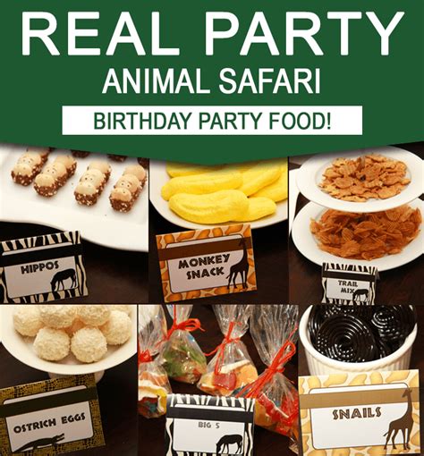 Safari Party Food Ideas - Safari Birthday Party Theme