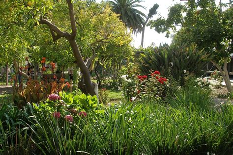 Mission Garden, San Luis Obispo | Paul Hamilton | Flickr