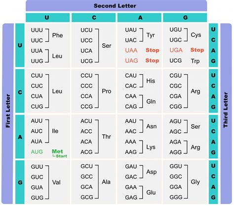 5.8 Using the genetic code – The Evolution and Biology of Sex