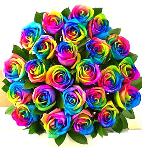 24 Rainbow Roses Bouquet | Sunlight Flower Shop