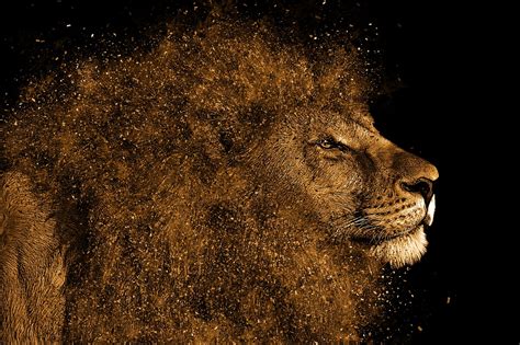 Download Lion, Mane, Hair. Royalty-Free Stock Illustration Image - Pixabay