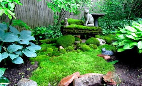 30 Moss Garden Ideas: Graffiti, Statue, Ornament Designs