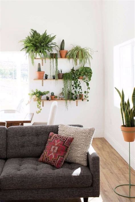 10 Beautiful Ways To Decorate Indoor Plant in Living Room