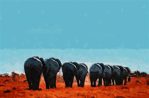 ArtStation - An elephant & his friends