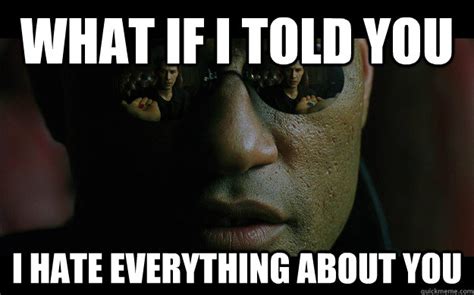 What if I told you I hate everything about you - Misc - quickmeme