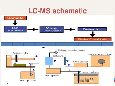 Liquid chromatography and mass spectrometry.(LCMS)