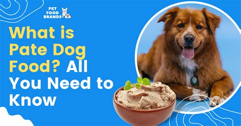 What is Pate Dog Food? All You Need to Know