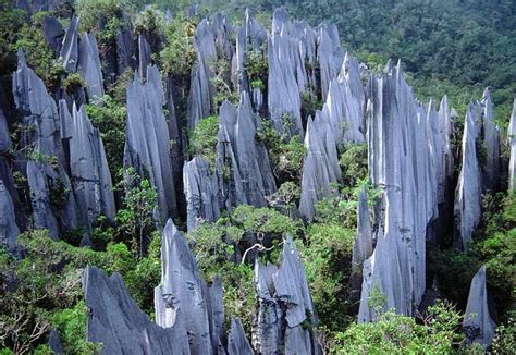 MULU- The UNESCO World Heritage Site in Sarawak, Malaysia