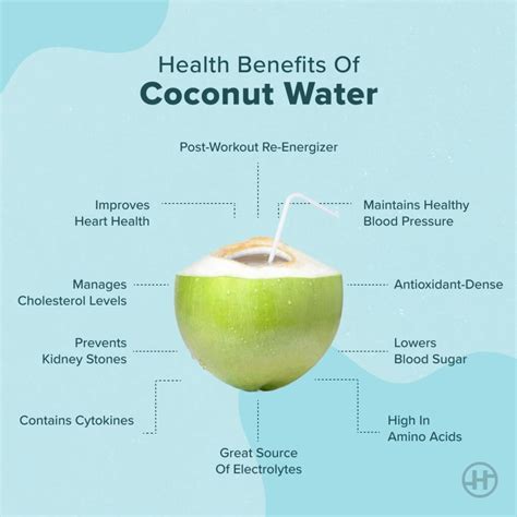 Coconut Water - Benefits, Nutritional Value & Precautions - HealthifyMe