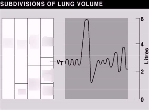 Lung Volumes Spirometry Diagram | Quizlet