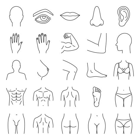 Human body parts linear icons set. Anatomy. Health care. Thin line contour symbols. Isolated ...