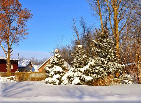 ABC Russian: Russian village in winter. Photos.