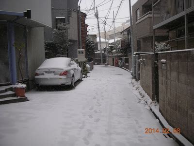 Tokyo snowfall - registered alien