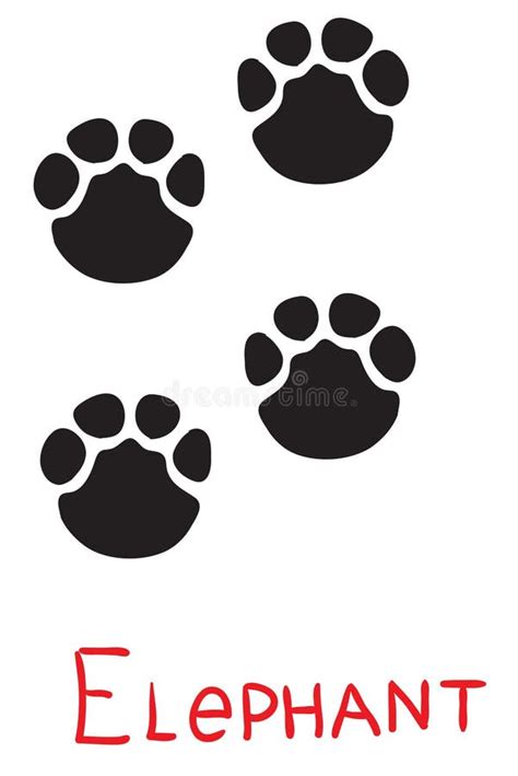 Elephant Footprint Template