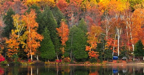 Discover the 5 Best Fall Foliage Drives in the Adirondacks