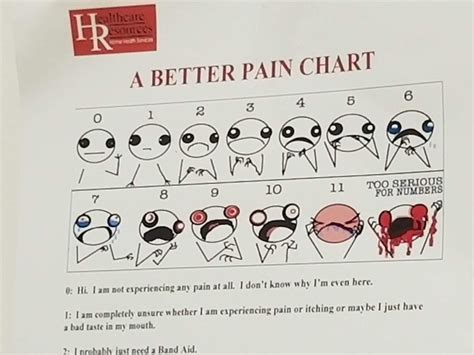 Pain scale : r/funny