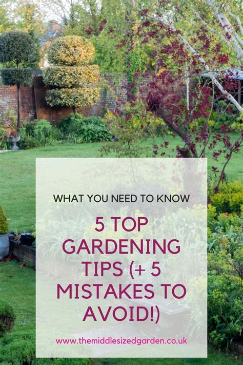 5 top garden tips for guaranteed gardening success... - The Middle-Sized Garden | Gardening Blog